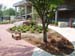 landscaping 014