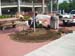 landscaping 026